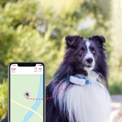 Tractive GPS DOG 4 izsekotājs suņiem