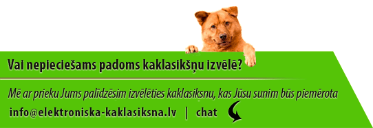 Vai nepieciešams padoms kaklasikšņu izvēlē?